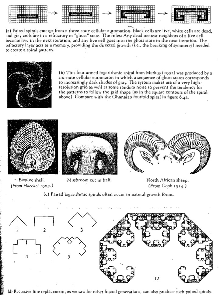 Paired spirals in nature and mathematics