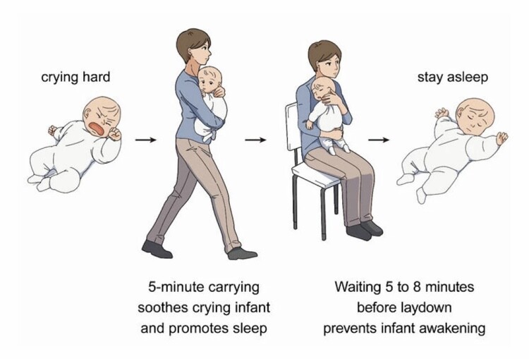 A diagram for putting an infant to sleep.
Crying Hard ->
5-minute carrying soothes crying infant and promotes sleep ->
Waiting 5 to 8 minutes before laydown prevents infant awakening ->
stay asleep